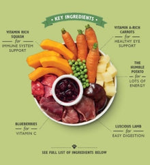 Lily's Kitchen Lamb Hotpot Wet Dog Food Box 10x150G