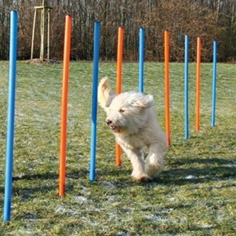 Trixie Dog Activity Agility Slalom Poles for Dogs 115×3cm