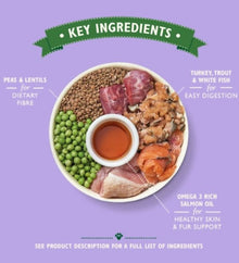 Lily's Kitchen Senior Recipe Turkey Adult 8+ Dry Dog Food - 2.5KG