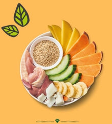 Lily's Kitchen Dog Carnival Chicken Wet Food Box 6x400G