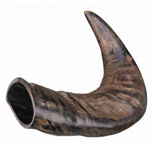 Trixie Natural Buffalo Chewing Horn Dental Dog Treats - MEDIUM