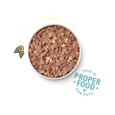Lily's Kitchen Recovery Recipe Wet Dog Food Box 6x400G