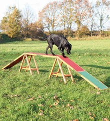 Trixie Dog Activity Agility Dogwalk Bridge for Dogs 456×64×30cm