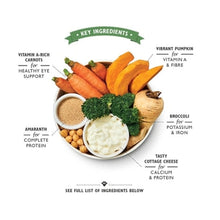 Lily's Kitchen Wholesome Veggie Feast Wet Dog Food Box 6x375G
