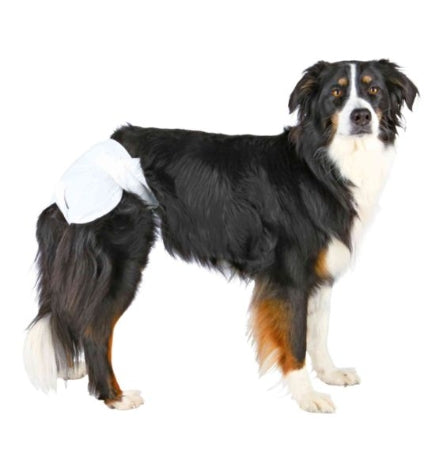 Trixie Dog Diapers Large